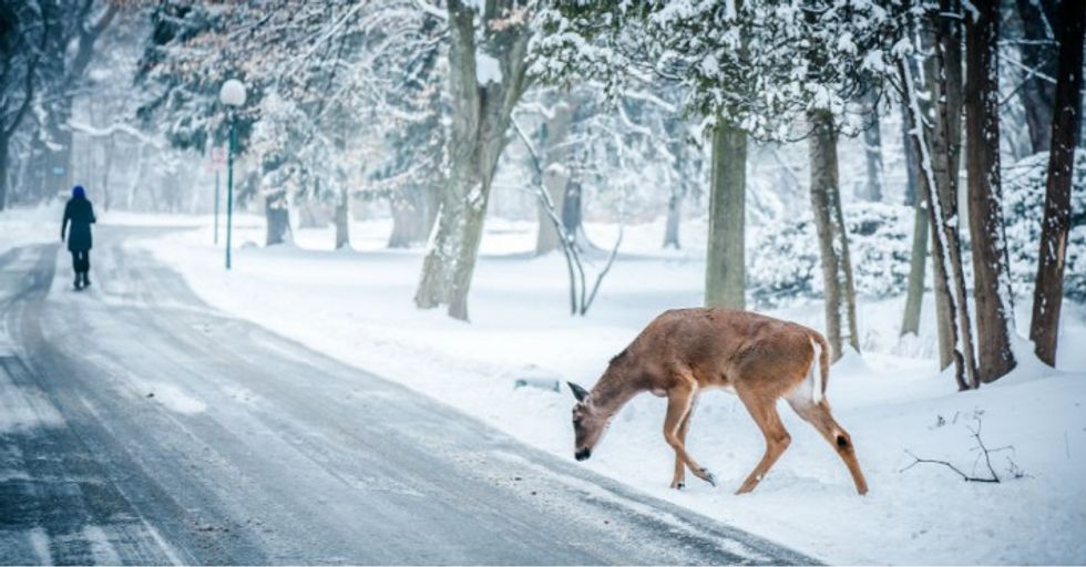 Winter Blues Got You Down? Doing These 7 Things Can Help.