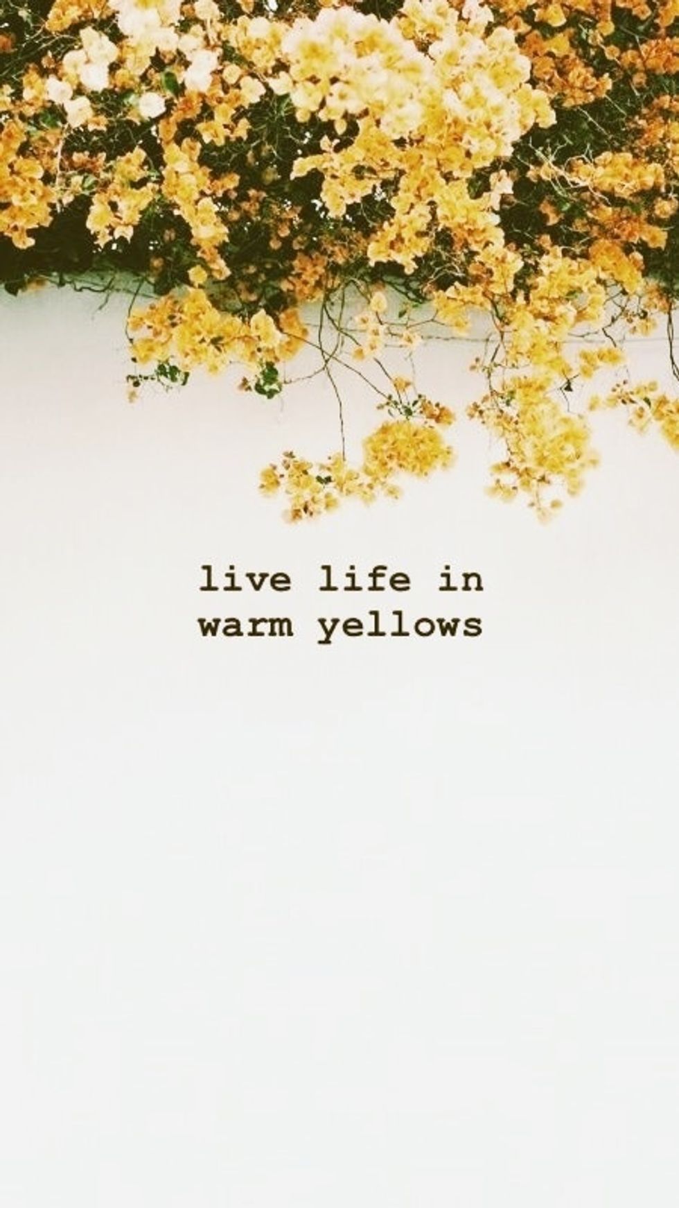 Live Life In Warm Yellows