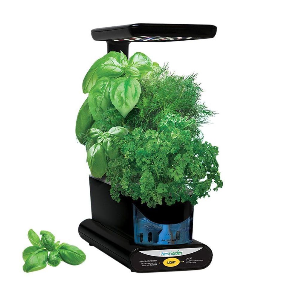 Picture of AeroGarden