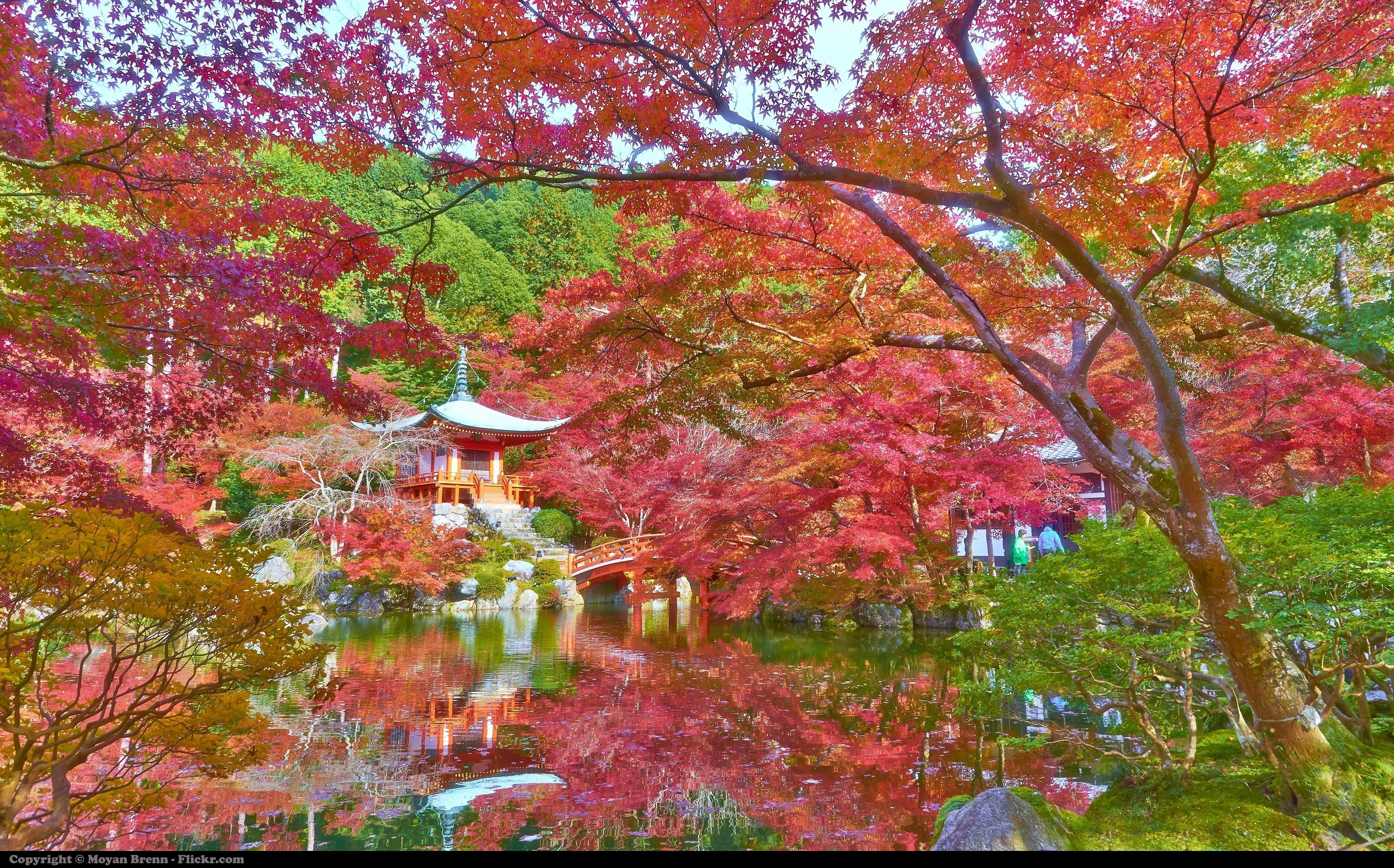 È di nuovo tempo di vacanze. I consigli per viaggiare in autunno senza spendere troppo
