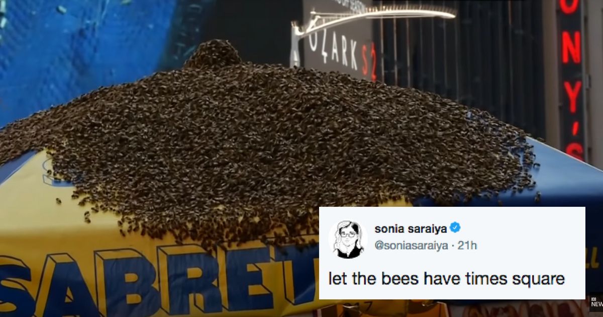 An Enormous Swarm Of Bees Decided To Take Over A Hot Dog Stand In Times Square 😮🐝