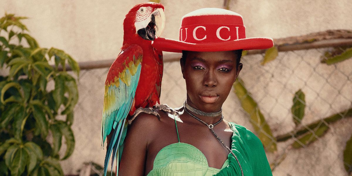 PAPER Fashion: Birds of Paradise