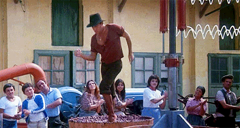 Bianchi profumati e rossi eleganti: grande vendemmia