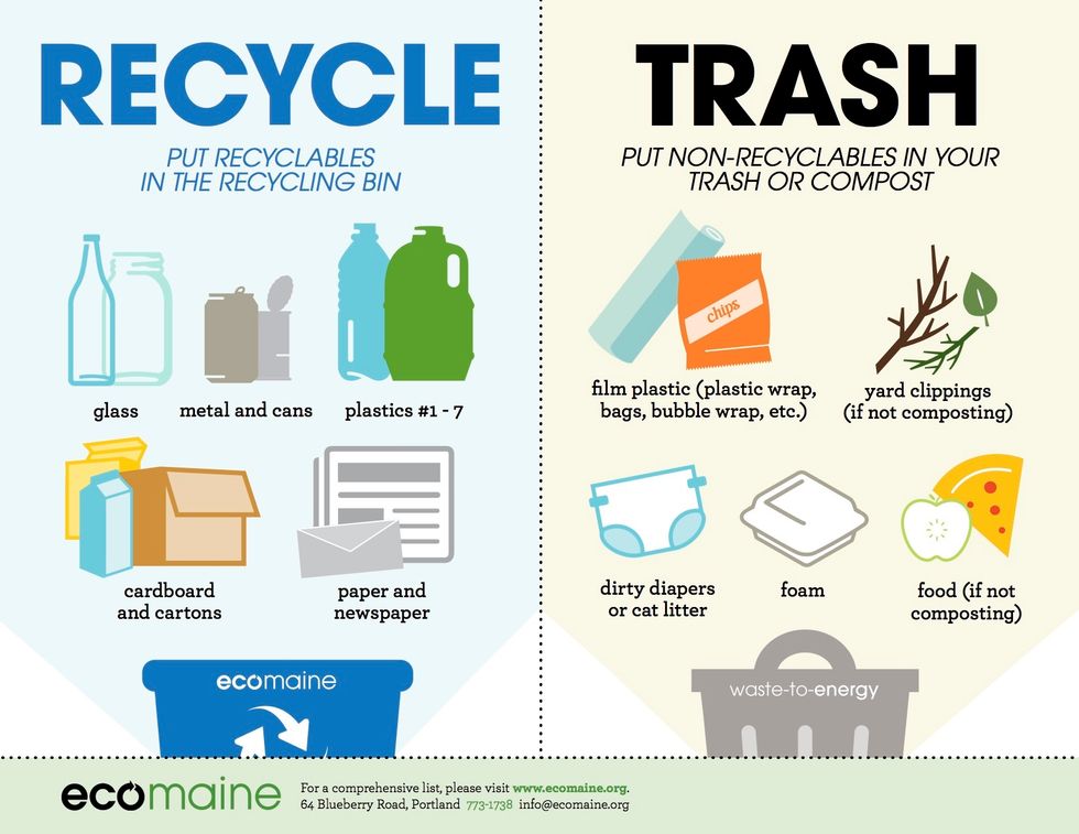 80 Easy Ways You Can Help The Environment