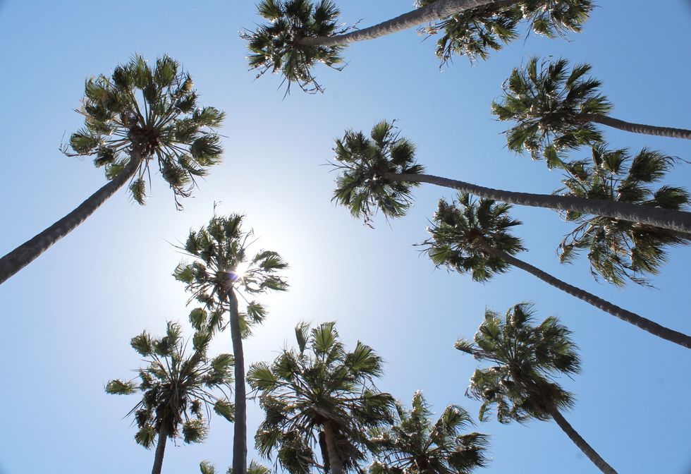 15 Songs That You'll Have On Repeat All Summer Long