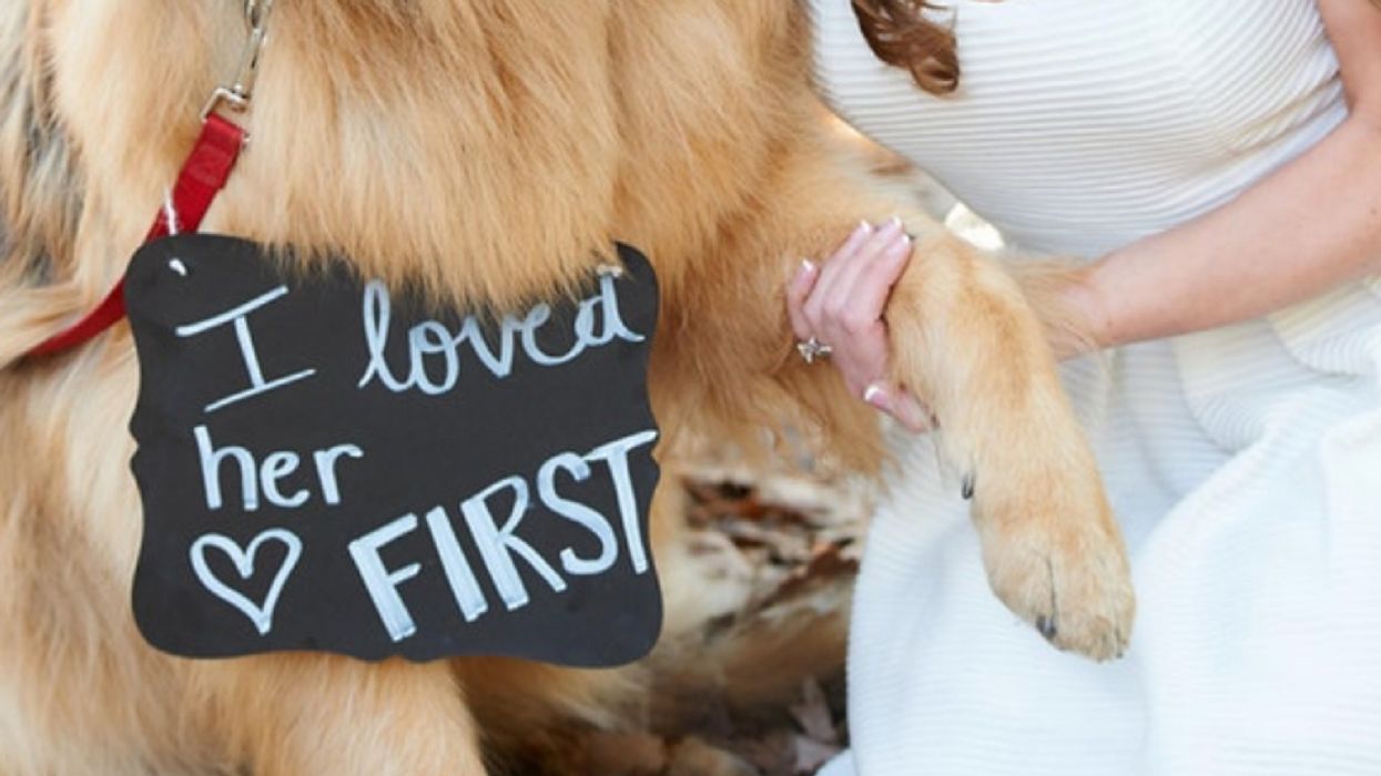 Fiance's 'Pecking Order' Engagement Photo Has Everyone Nodding In Agreement
