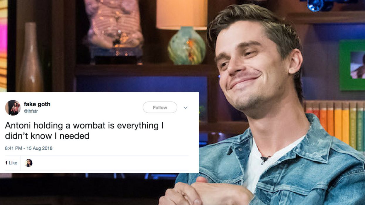Video Of Antoni From 'Queer Eye' Holding A Wombat Will Honestly Make Your Day đ