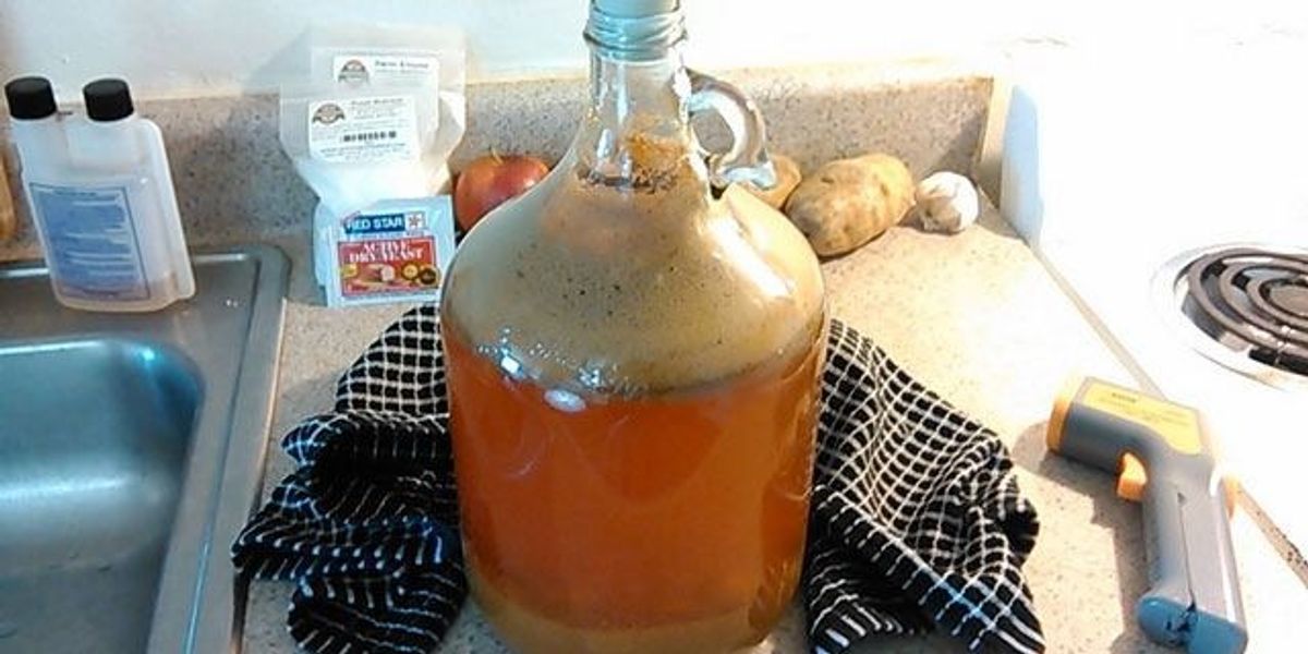 Best Hard Cider Recipe My Recipe Magic