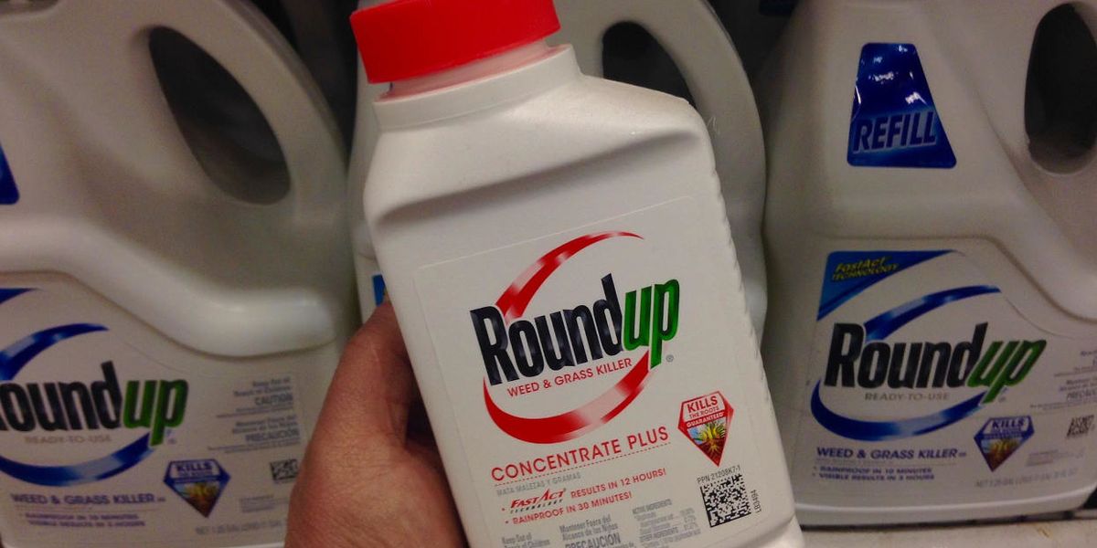 Carey Gillam and Nathan Donley: A story behind the Monsanto cancer trial — journal sits on retraction