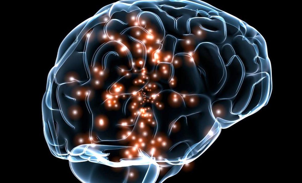 Learning Another Language Could Help Your Brain Function and Age Better, Finds New Study