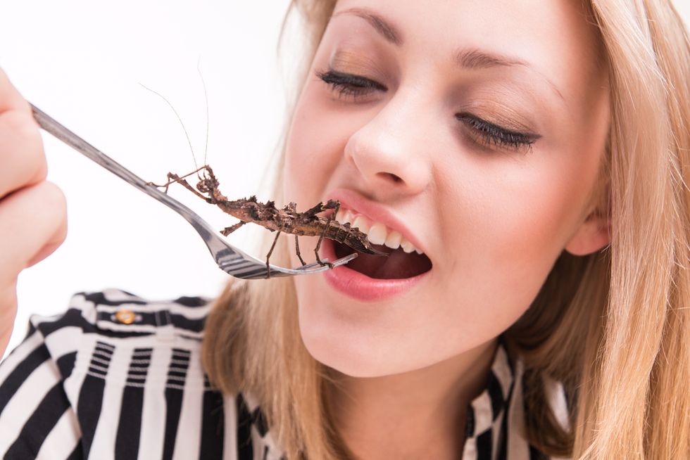 Perhaps We Should Eat Crickets - Big Think