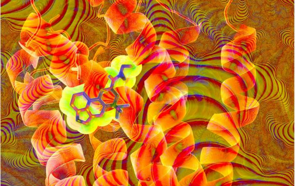 Why LSD Trips Last So Long and Make Everything Seem So Meaningful