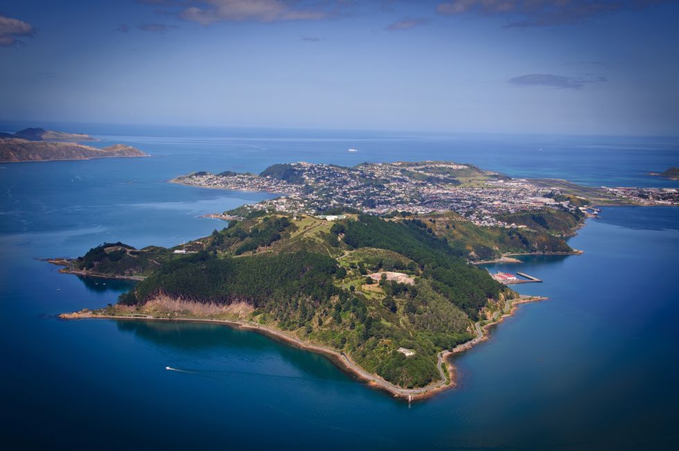 Wellington, New Zealand (Credit: Getty Images)
