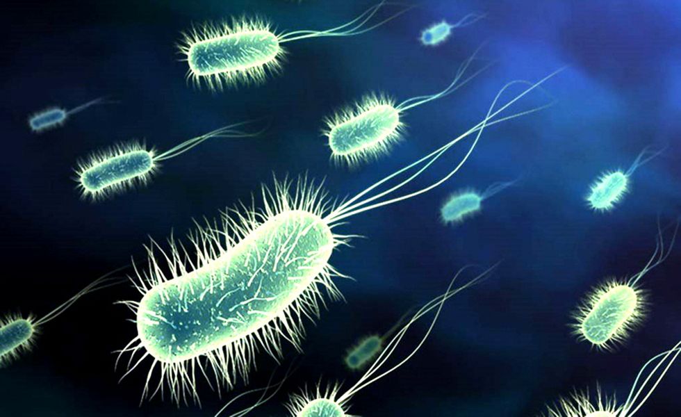 Microbes race to the rescue.