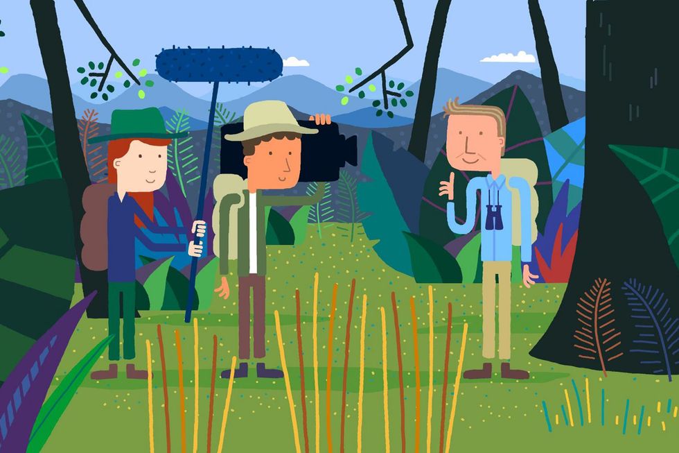 Animated Attenborough.