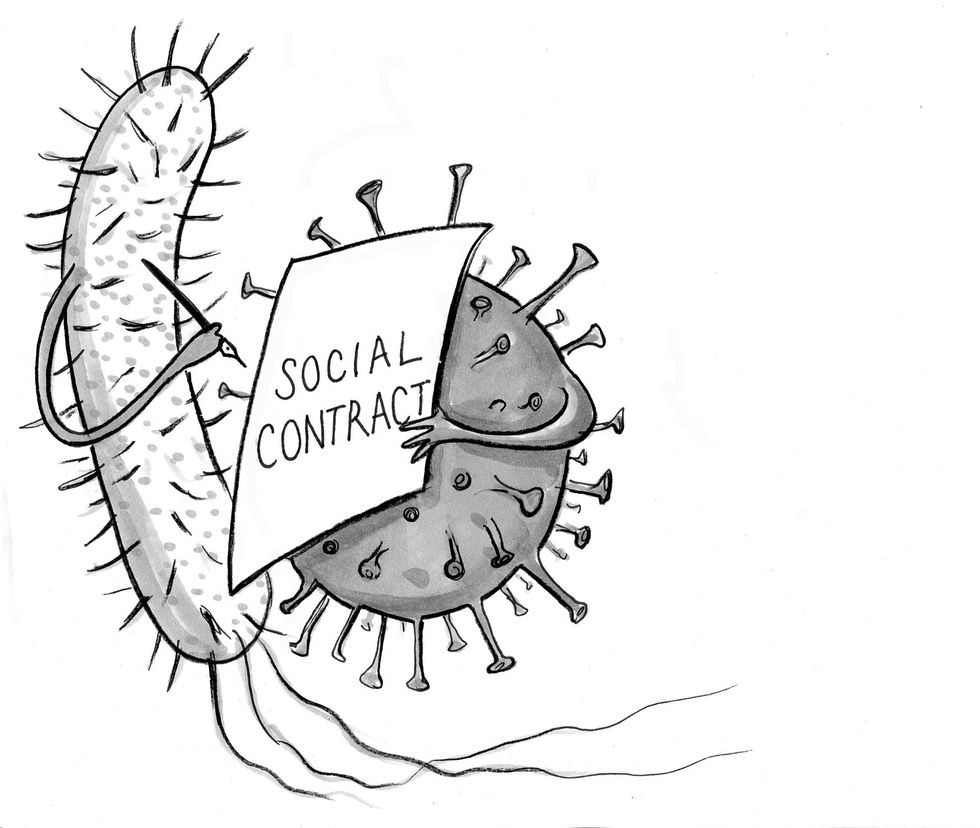 Illustration by Julia Suits, The New Yorker cartoonist & author of The Extraordinary Catalog of Peculiar Inventions
