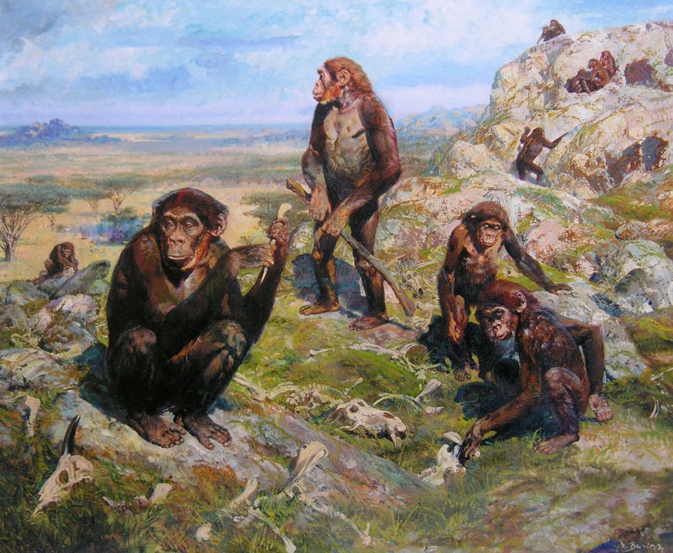 Chimps roaming ancient Europe.