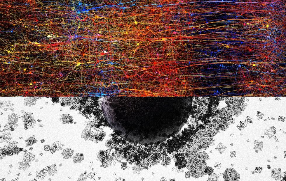 The human brain builds structures in 11 dimensions, discover scientists
