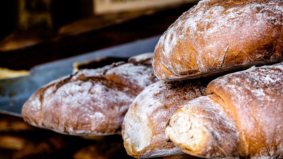 The Effects of White vs. Whole-wheat Bread May Vary Greatly Between Individuals