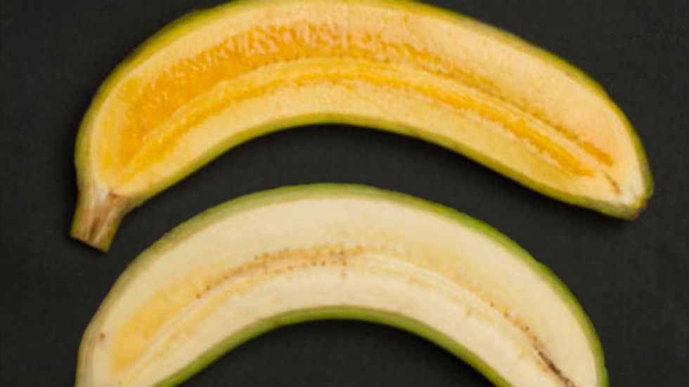 golden and normal bananas