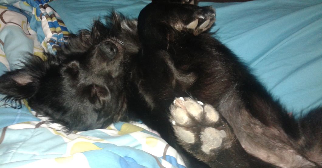 Raven Machie- Keanu "The Dude" Dracula after adoption