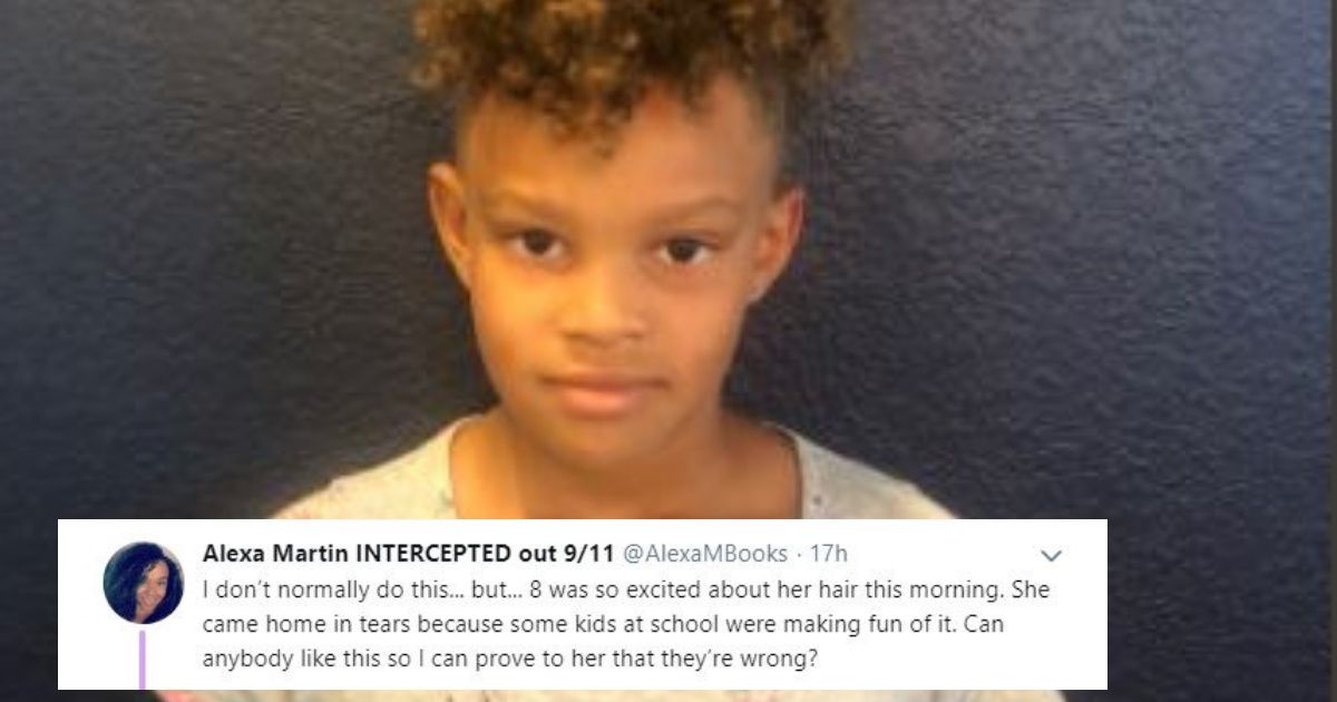 Little Girl Gets Bullied For Her Hair—But The Internet Came Through For Her Big Time ❤️
