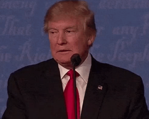Whatever, Haters. Trump Doesn't Care About BOOK!