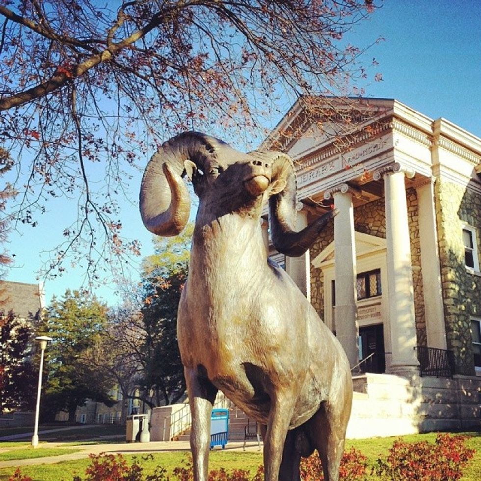 Advice To Pre-Business Majors