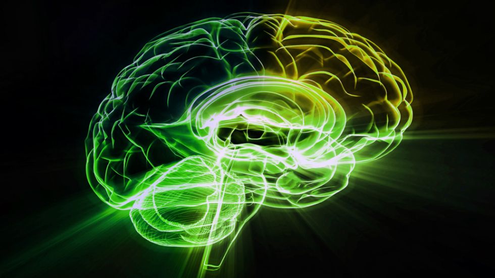 Crowdfunding Enables Groundbreaking Research of Brains on LSD
