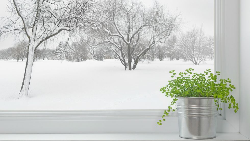 Nifty Website Teaches You How to Garden Anywhere