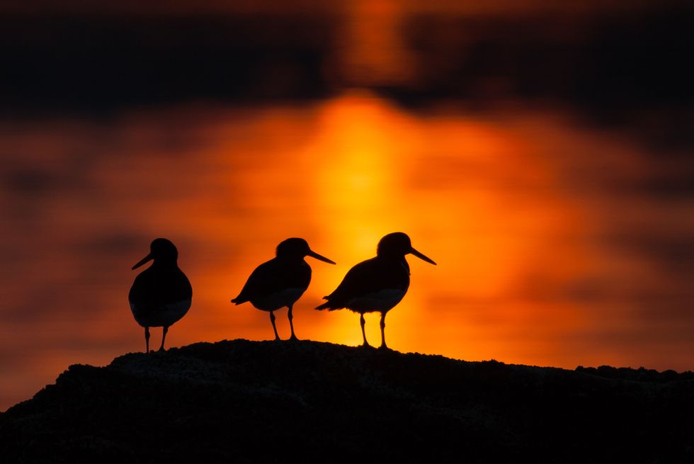 Disagreeing Without Being Disagreeable