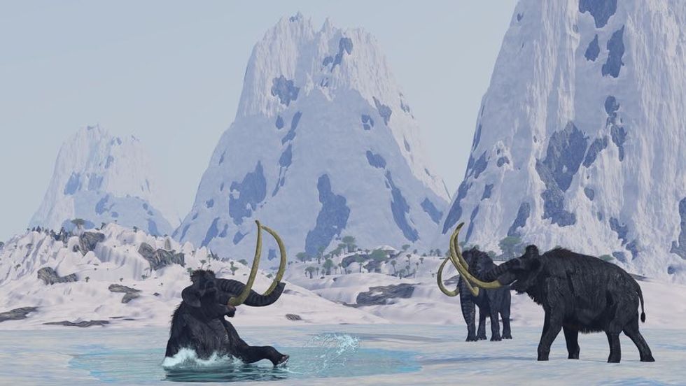 South Korea Determined to Revive the Woolly Mammoth