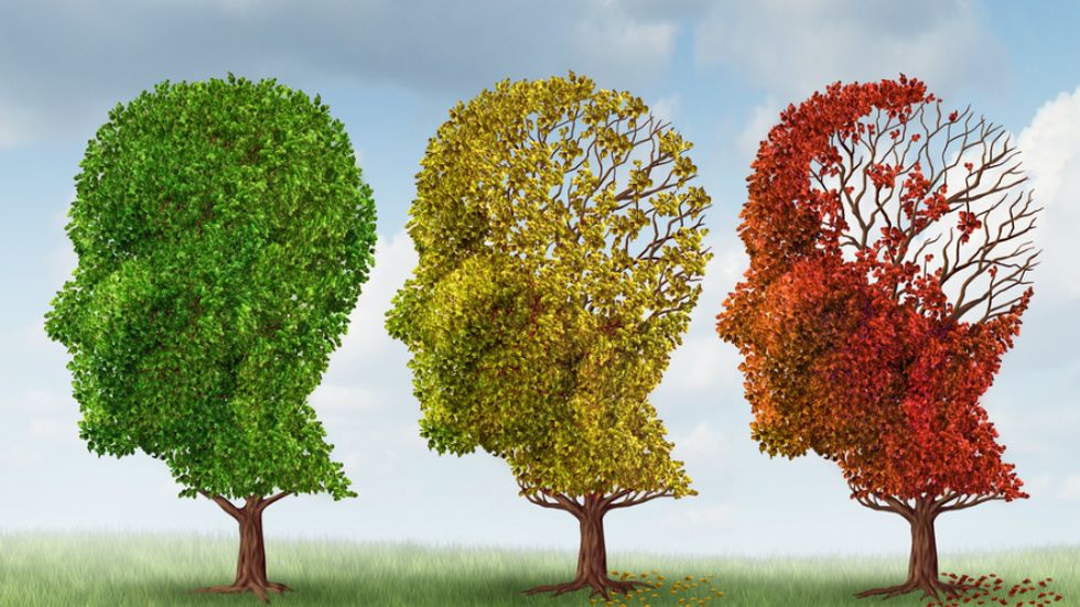 Alzheimer's Epidemic Approaches as Marriage Rate Falls
