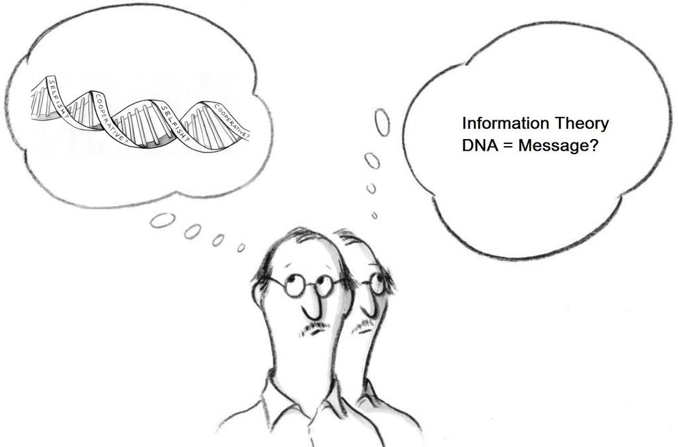 'Information Theory' Is Misinforming Us (Because The Meaning Isn’t In The Message).