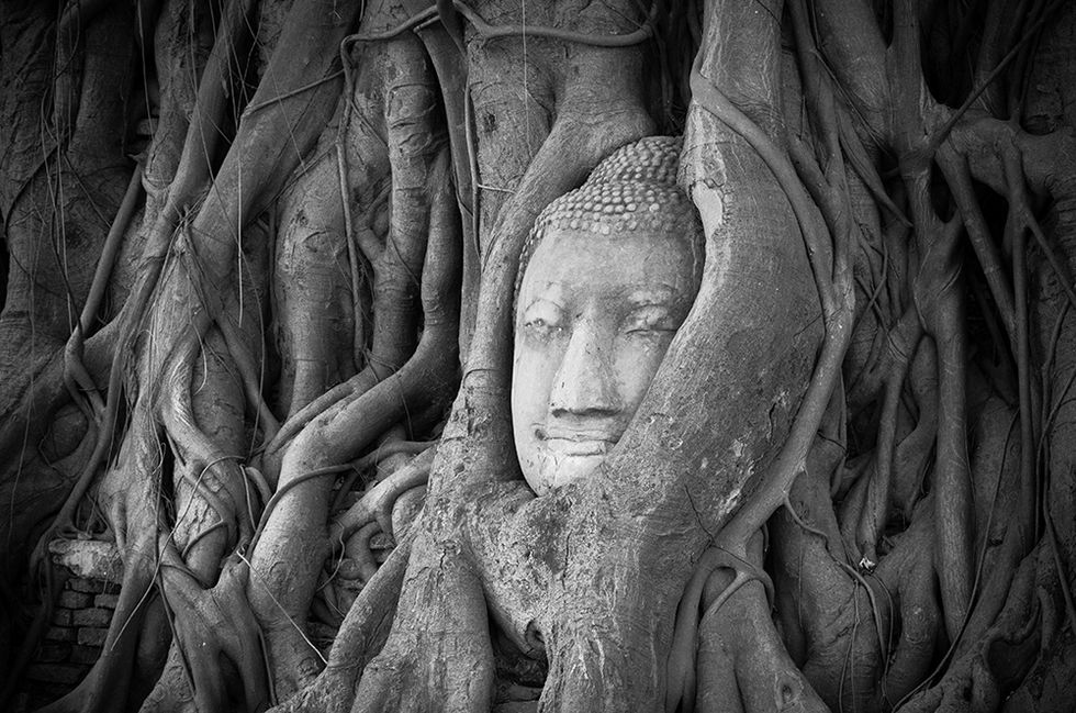 Buddhism and the Brain: Mindfulness in Modern Times