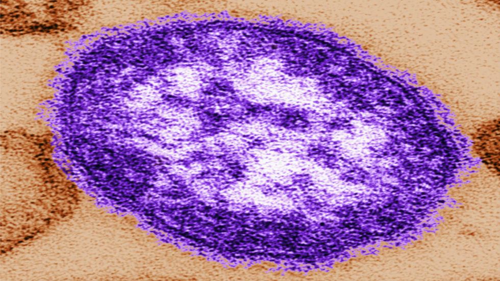A New Study with Big Implications for Antivaxxers