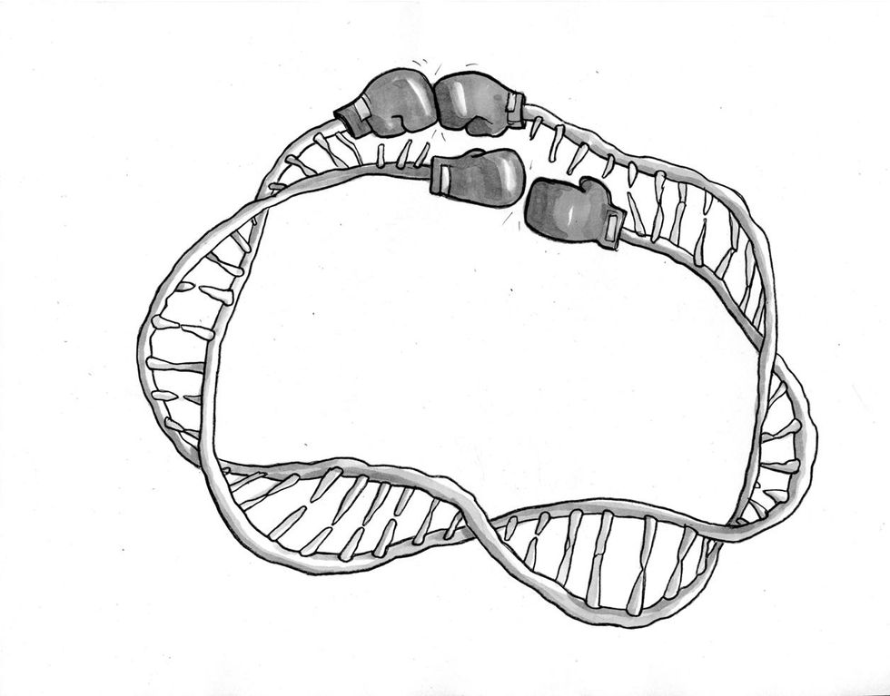Lessons of Cancer = Evolutionary Civil War