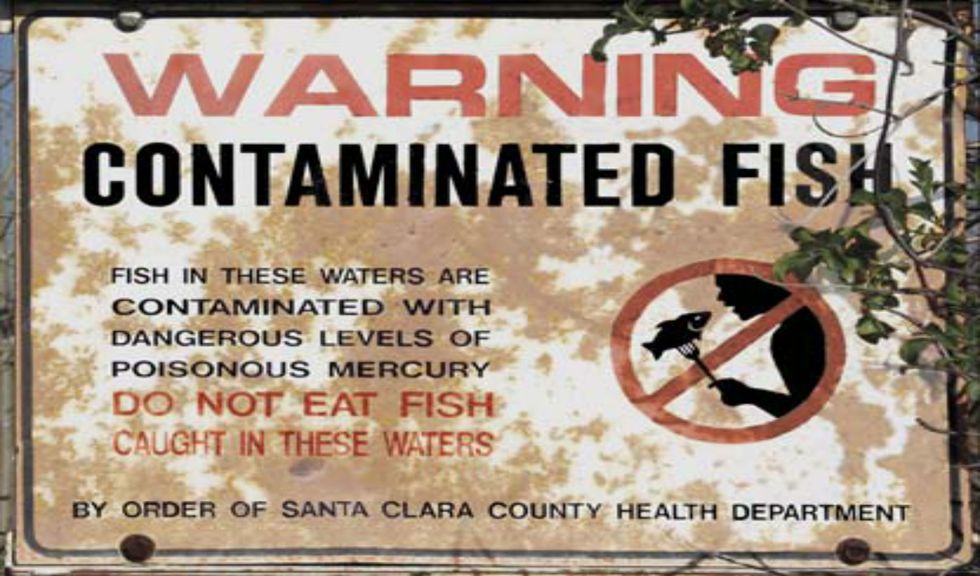Our Excessive Fear of Mercury. Where It Comes From. What It (The Fear) Does to Us.