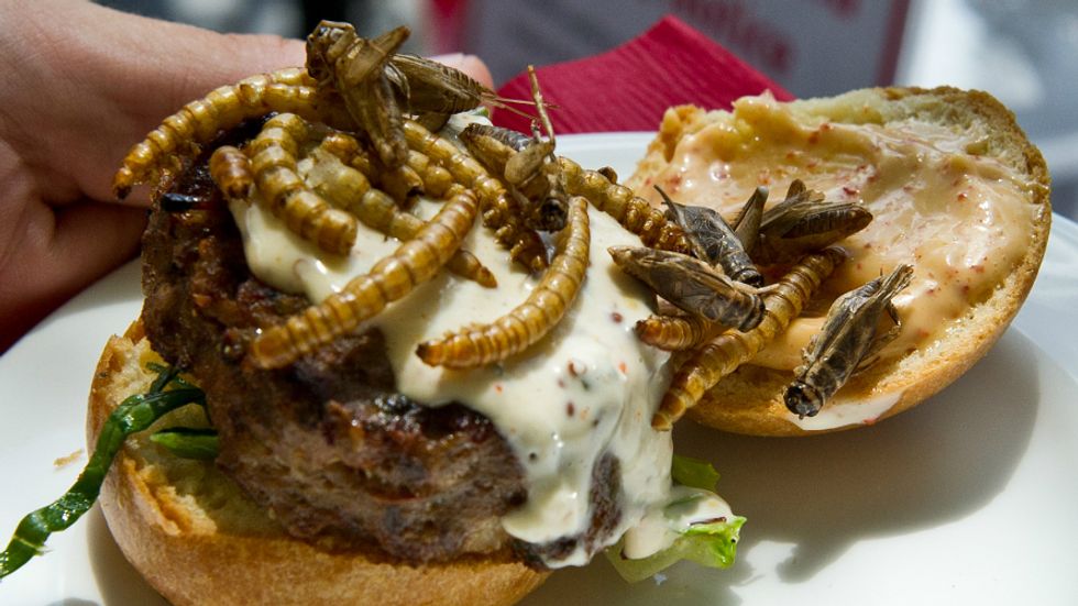We'll Be Eating a Lot More Bugs in the Future