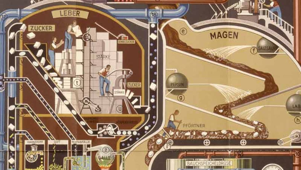 A Map of the Menschmaschine