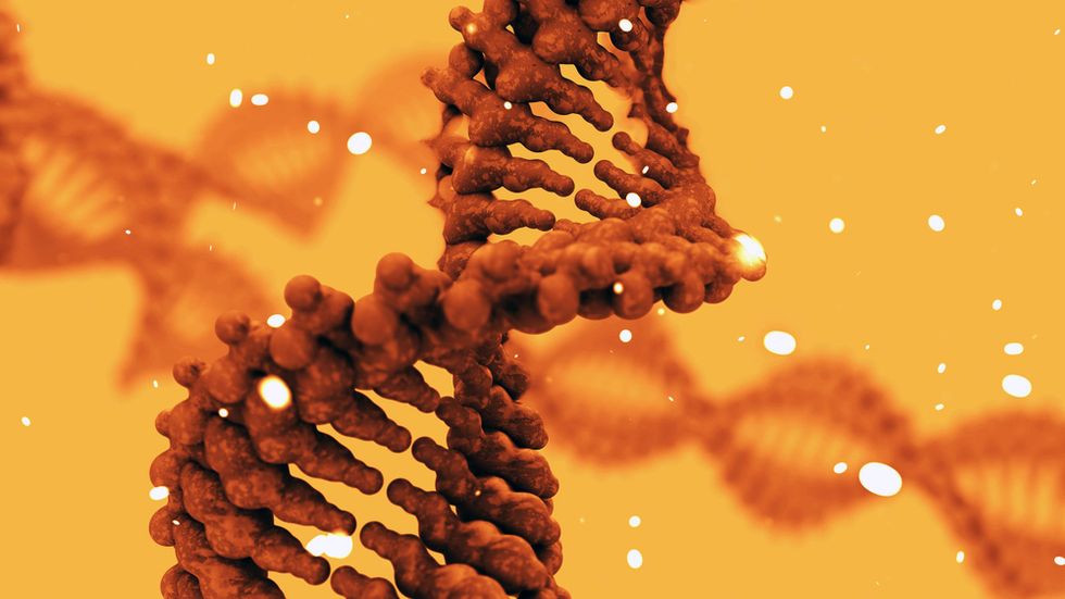 foreign dna trapped inside you may be