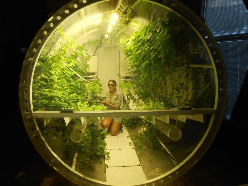 A Greenhouse for the Moon, or Mars