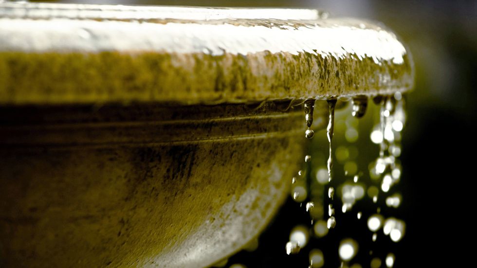 Scientists Find the Real Fountain of Youth — Inside Our DNA Big Think