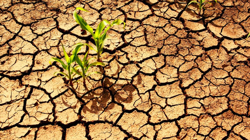 Climate Change Is Going to Wreak Havoc on World Agriculture