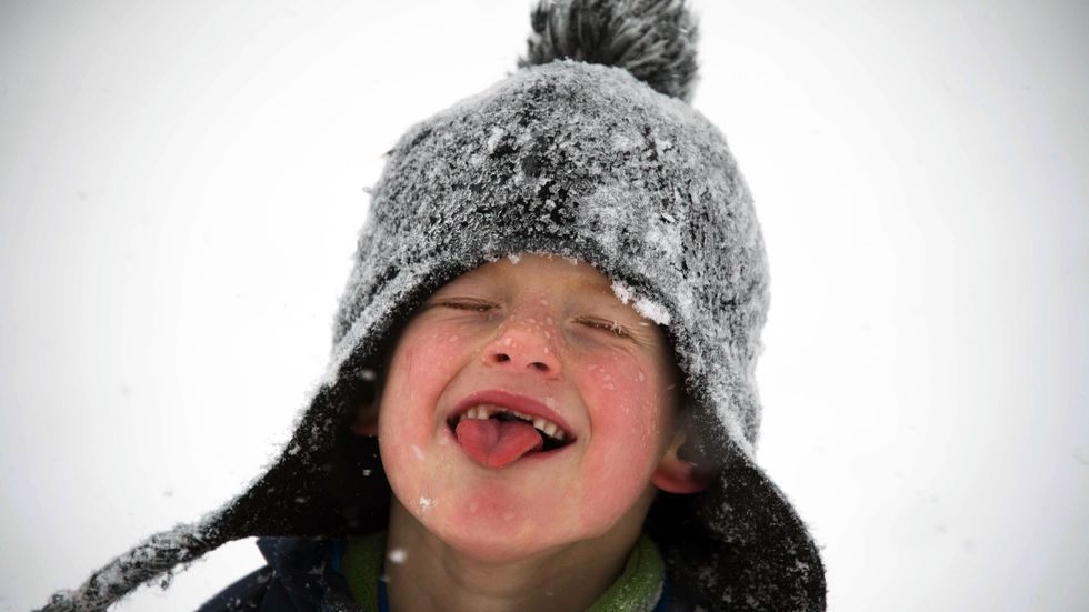 All That Snow about to Fall? You May Not Want to Eat It.