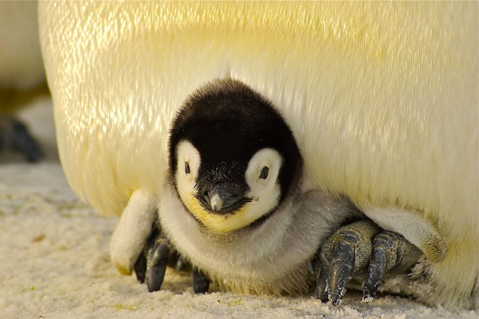 One Easy Way to Be a Scientist? Look at These Adorable Pics of Baby
