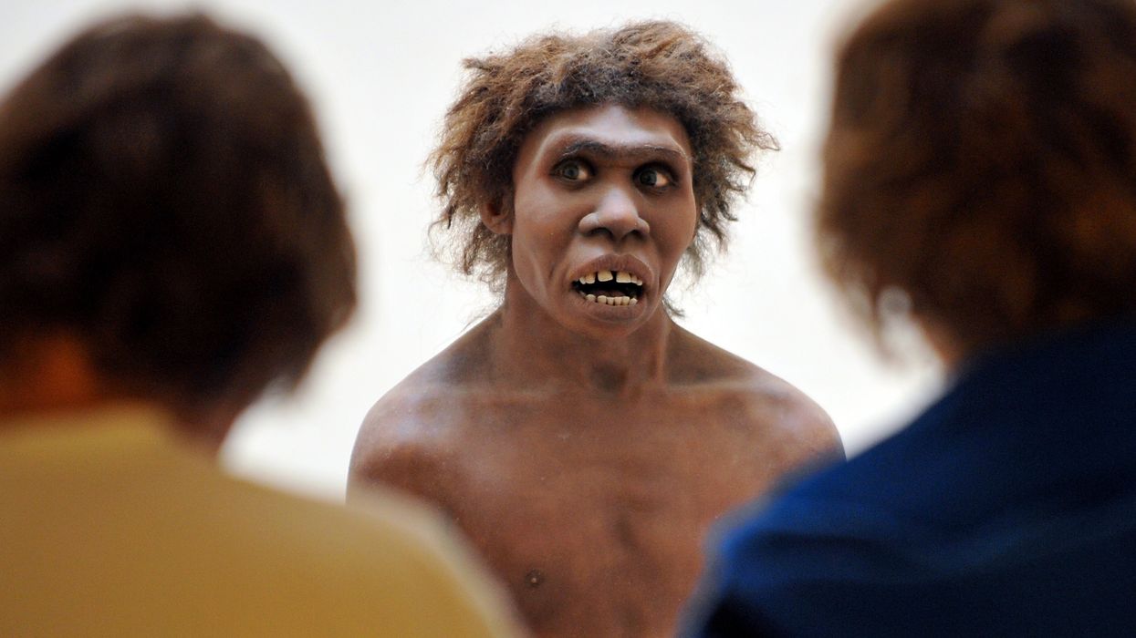 What Killed off the Neanderthals? You Might Not Like the Answer
