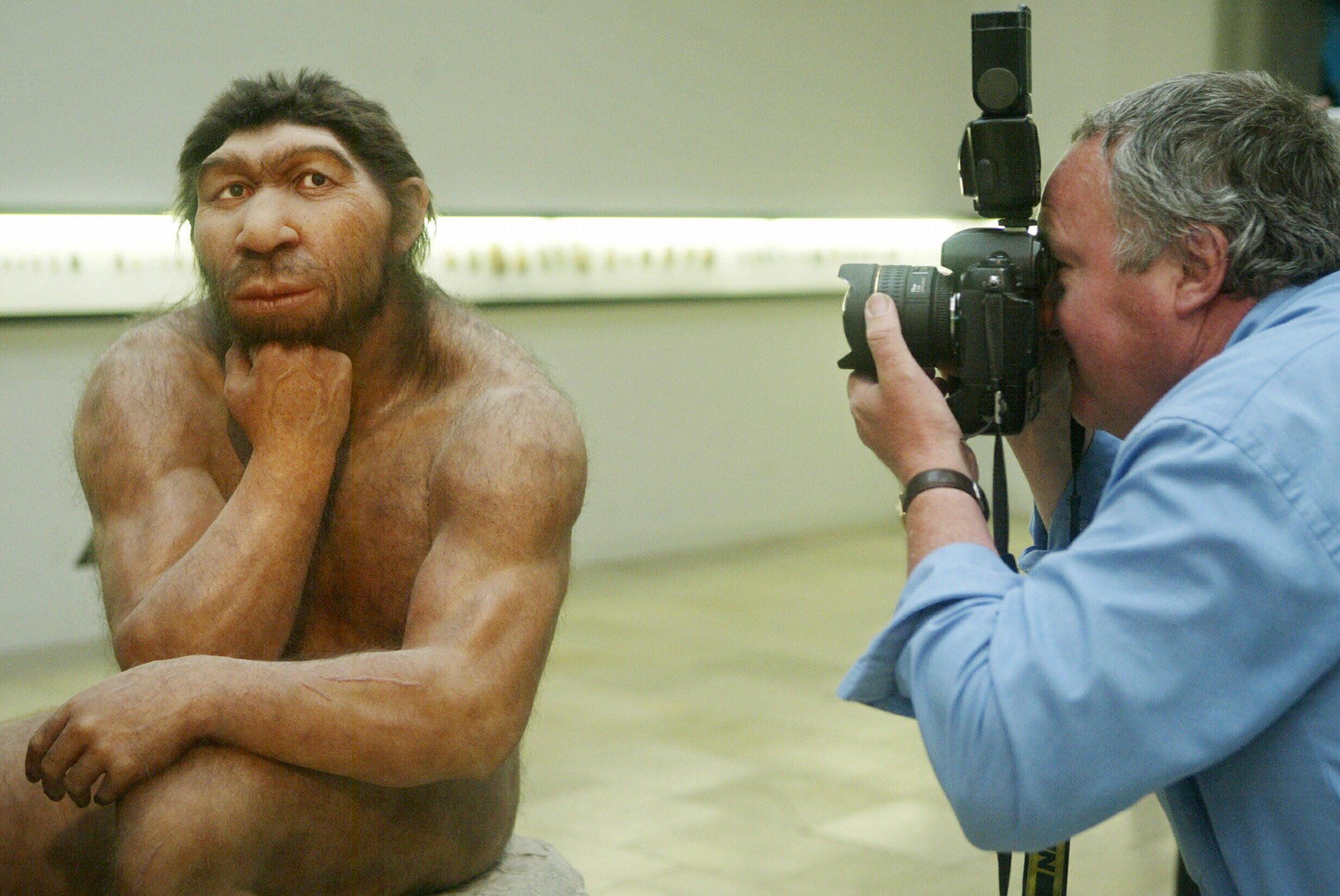 Homo Sapiens Killed Neanderthals By Spreading Disease Says Oxford Study ...