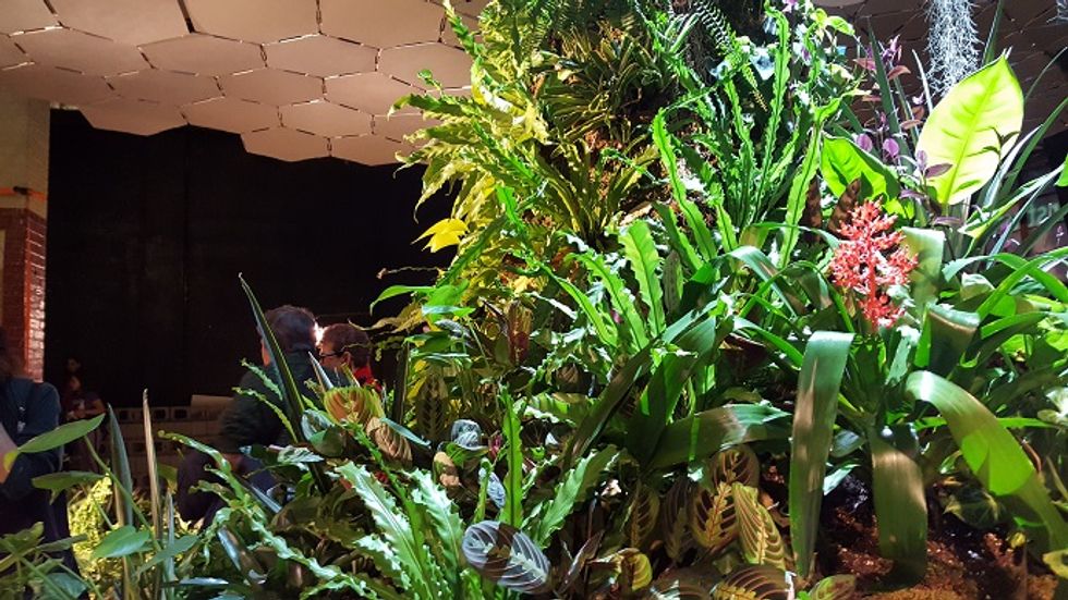 Lowline Underground Park