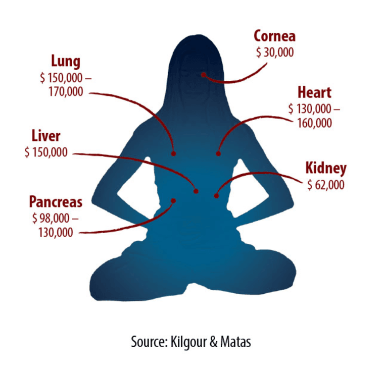 What You Need To Know About Illegal Human Organ Trafficking Big Think